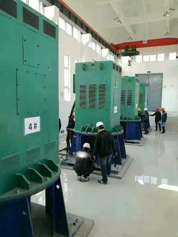墨江某污水处理厂使用我厂的立式高压电机安装现场