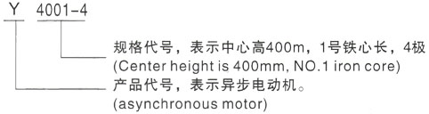 西安泰富西玛Y系列(H355-1000)高压墨江三相异步电机型号说明